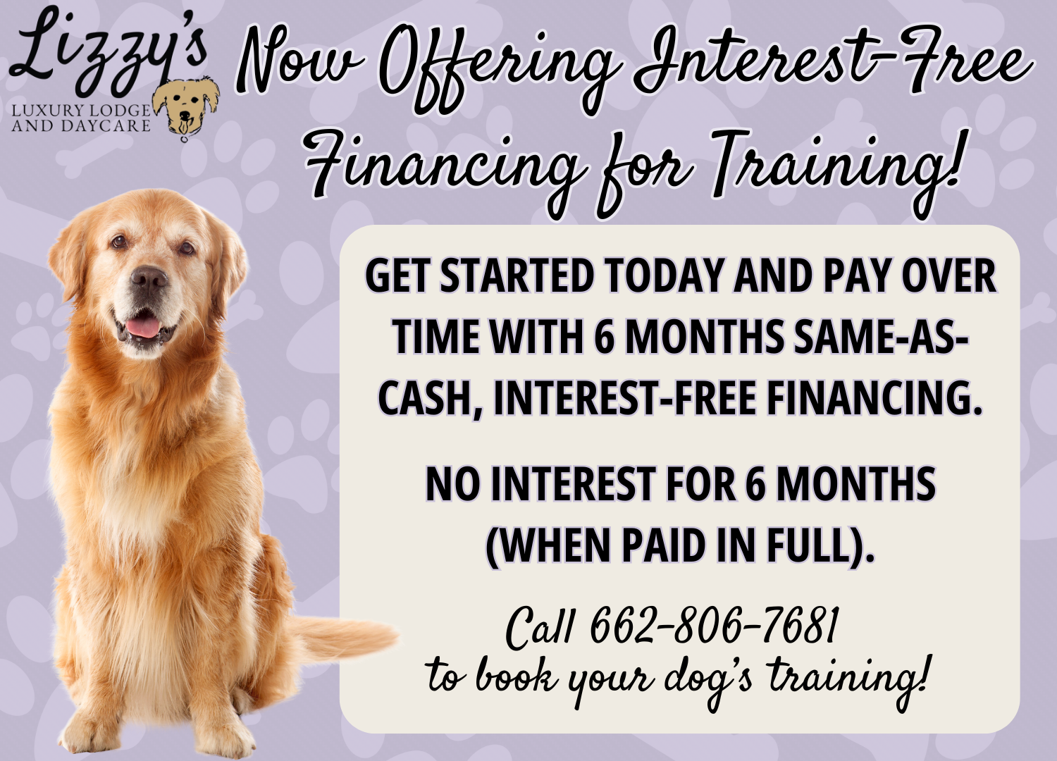 Lizzys Interest Free Pop-Up