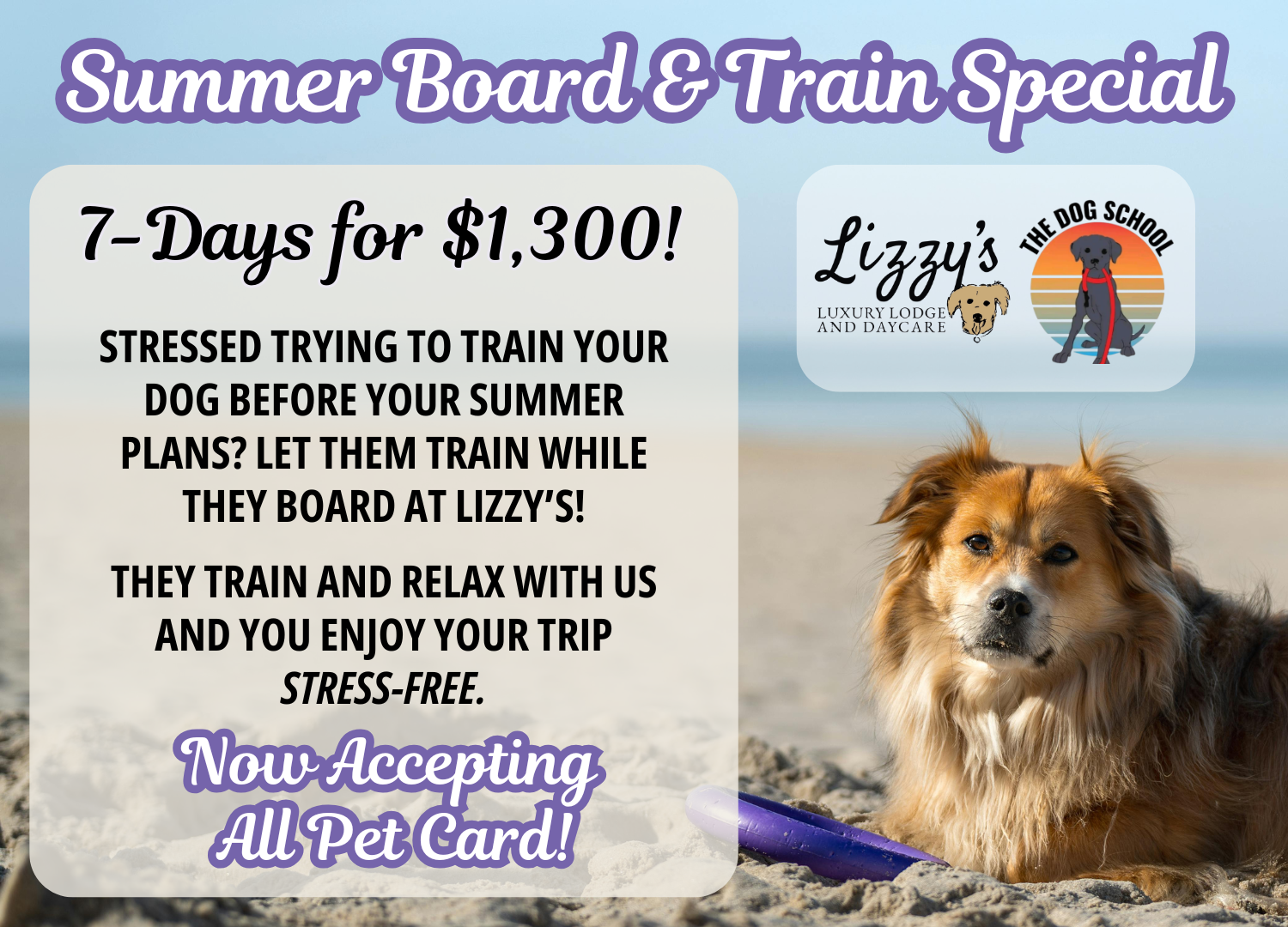 Summer Board Pop-Up